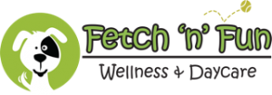 Fetch n fun Logo